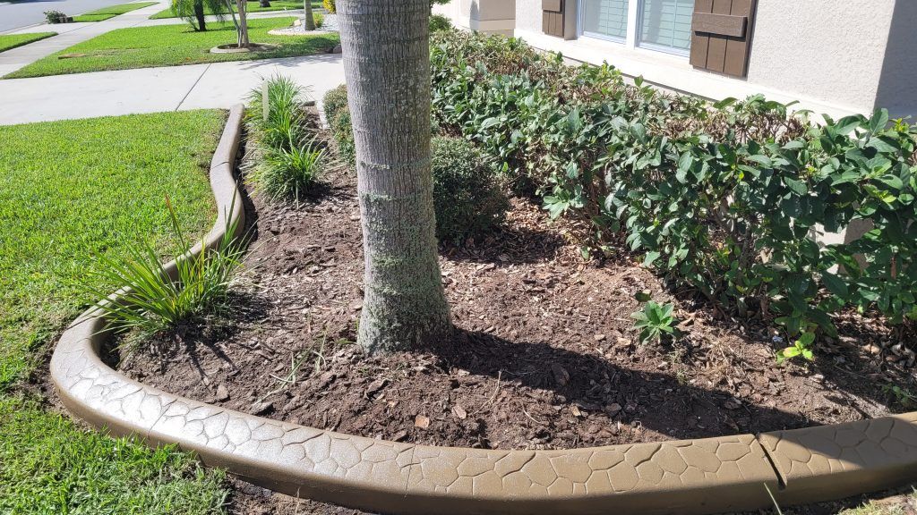 A tree in a garden with a concrete curb around it.