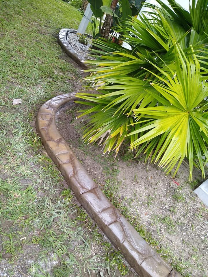 A concrete curb in a yard next to a palm tree.