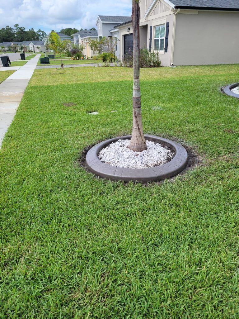 A tree is sitting in the middle of a lush green lawn next to a house.