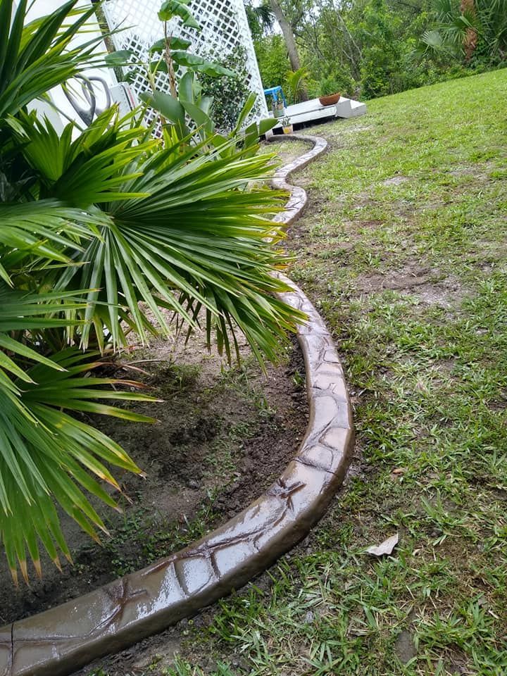 A concrete curb in a yard next to a palm tree.