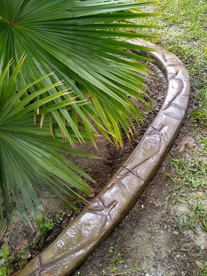 A concrete curb is sitting next to a palm tree.