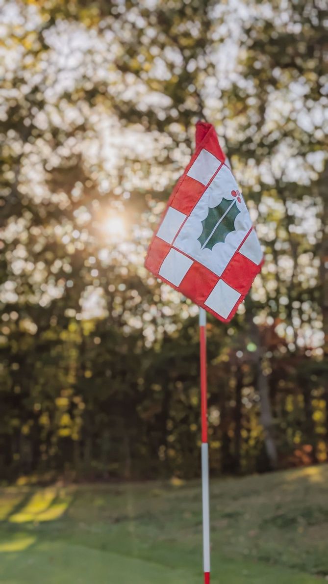 A white fence with a tree in the background