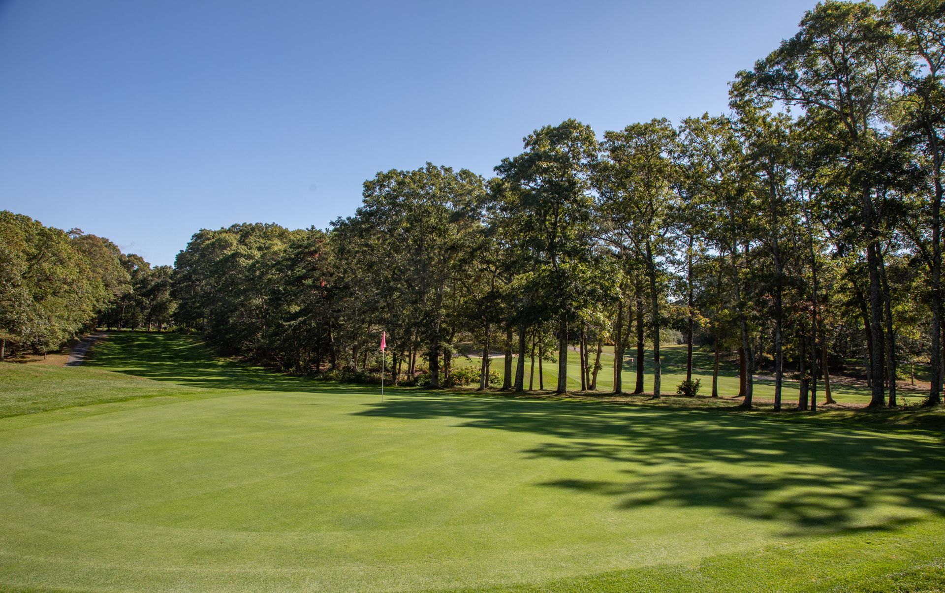 A white house with a blue roof and a large tree in front of it.