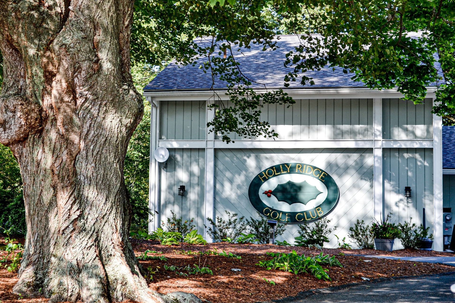 A white house with a blue roof and a large tree in front of it.