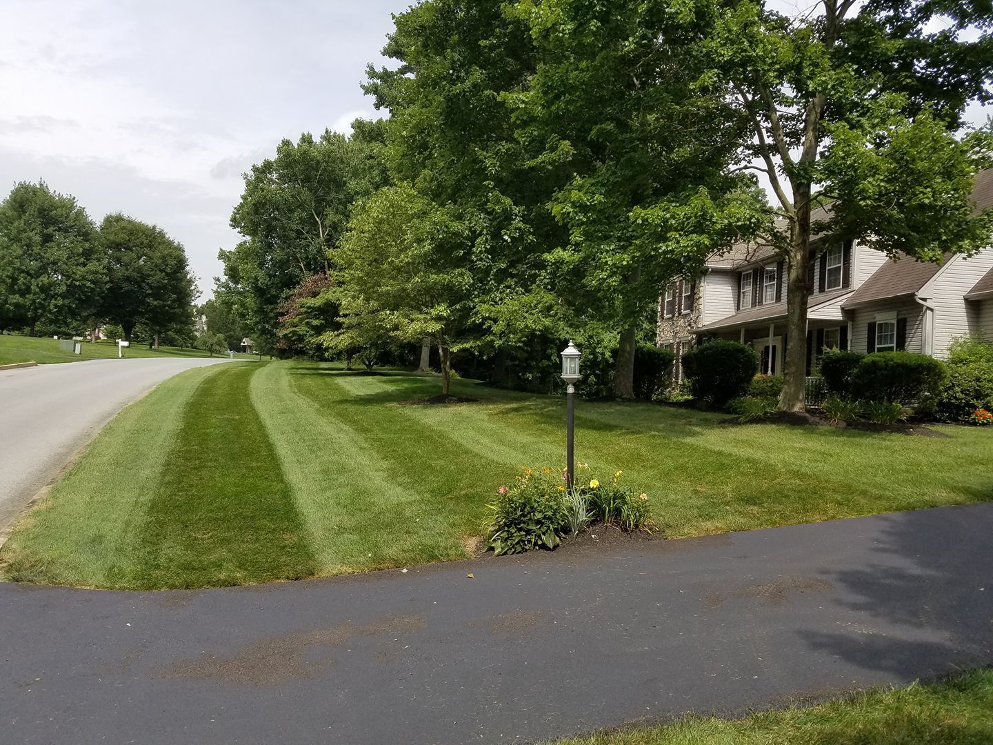A lush green lawn in front of a house