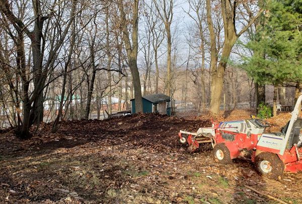 A red and white tractor is parked in a yard surrounded by trees.