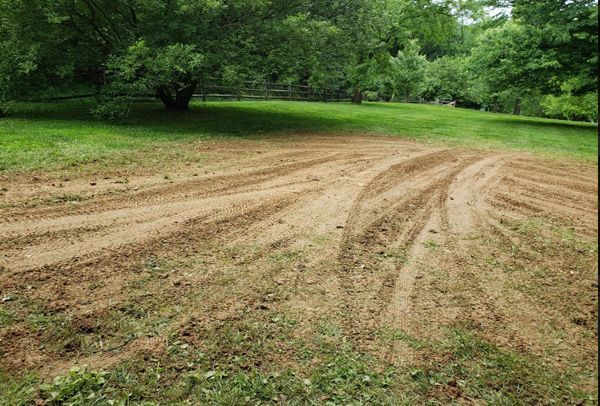 A dirt road going through a grassy field with trees in the background.