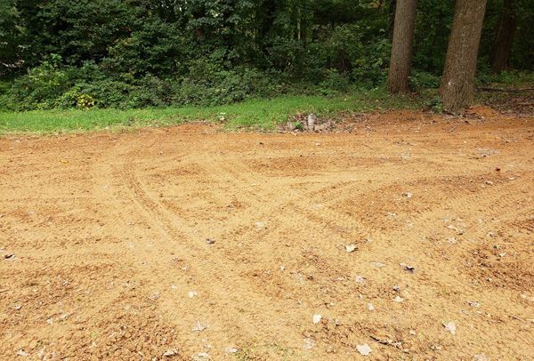 A dirt road in the middle of a forest with trees in the background.