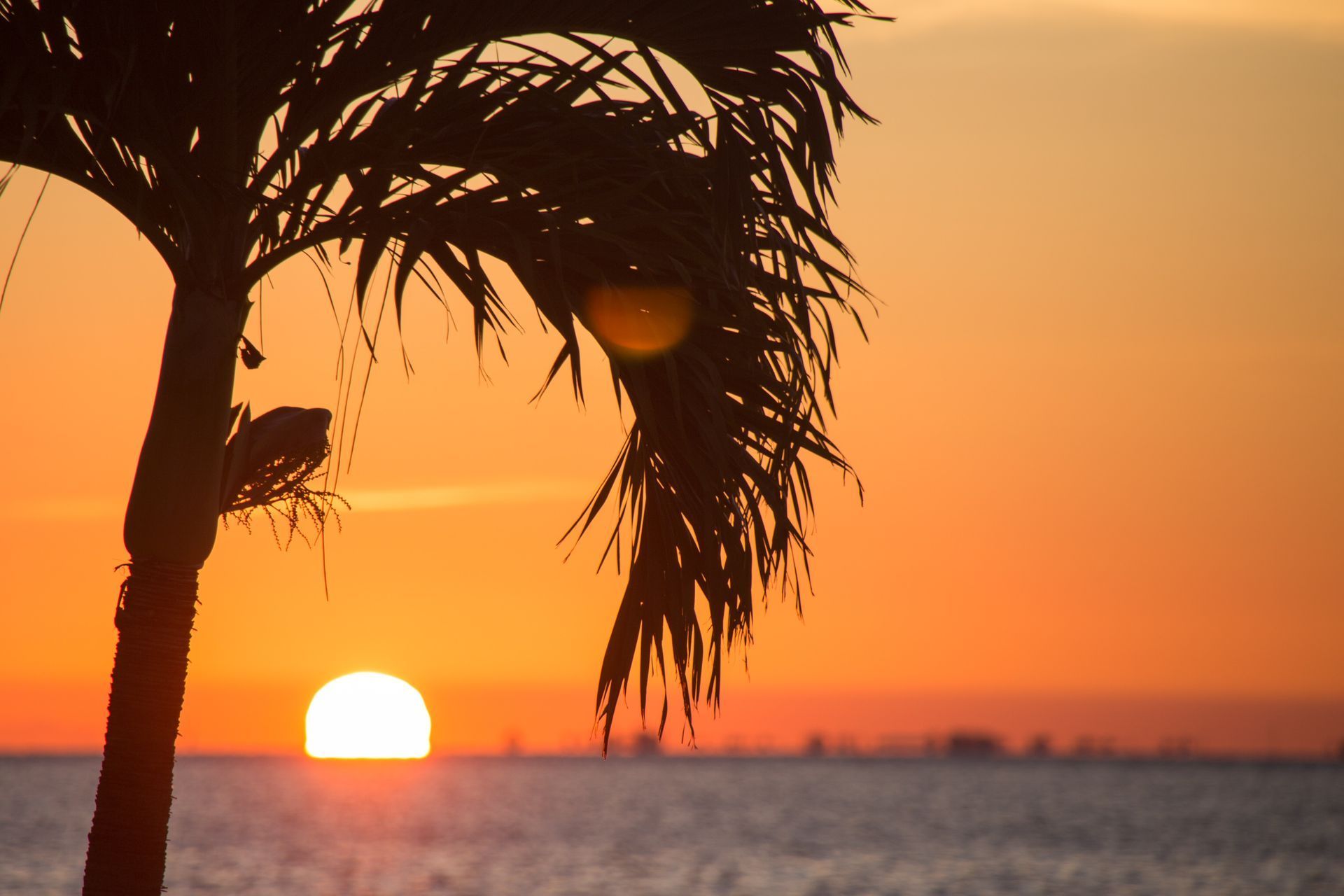 Miami Star Island Sunset Cruise