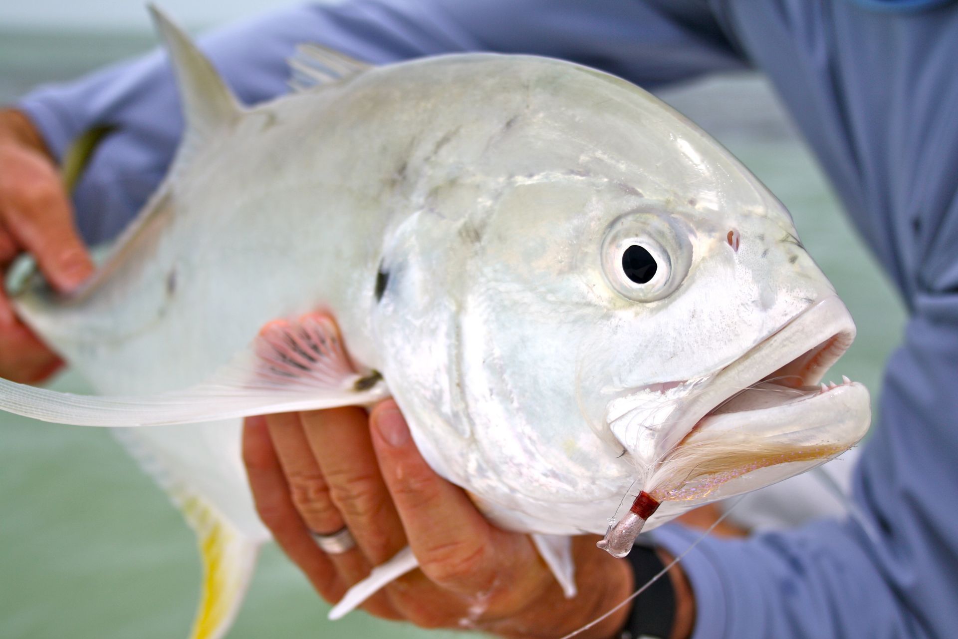 Fishing in Miami