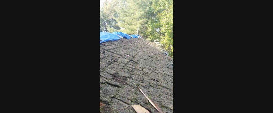 A person is standing on top of a large rock in the woods.
