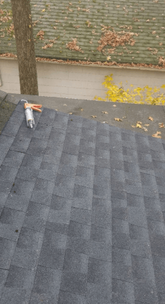 A close up of a roof with a tree in the background.
