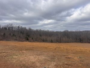 A wide, brown, cleared field sits before a dense, dormant forest under a cloudy, overcast sky.