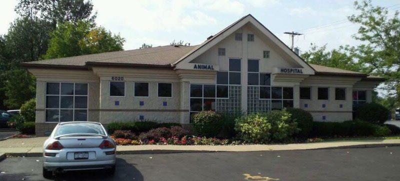 Transit Animal Hospital & Clinic Office Building | Cheektowaga, NY | Depew, NY | Buffalo, NY