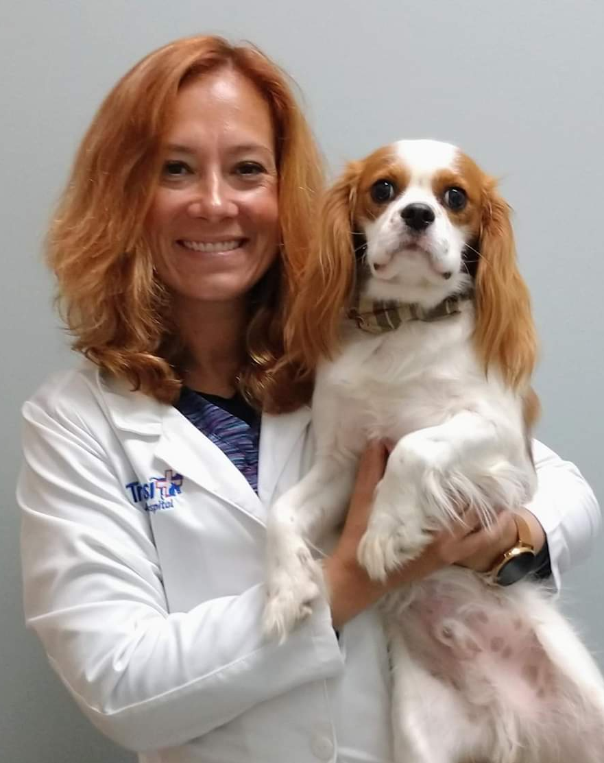 Our Staff Pet Hospital Lancaster & Cheektowaga, NY Transit Animal