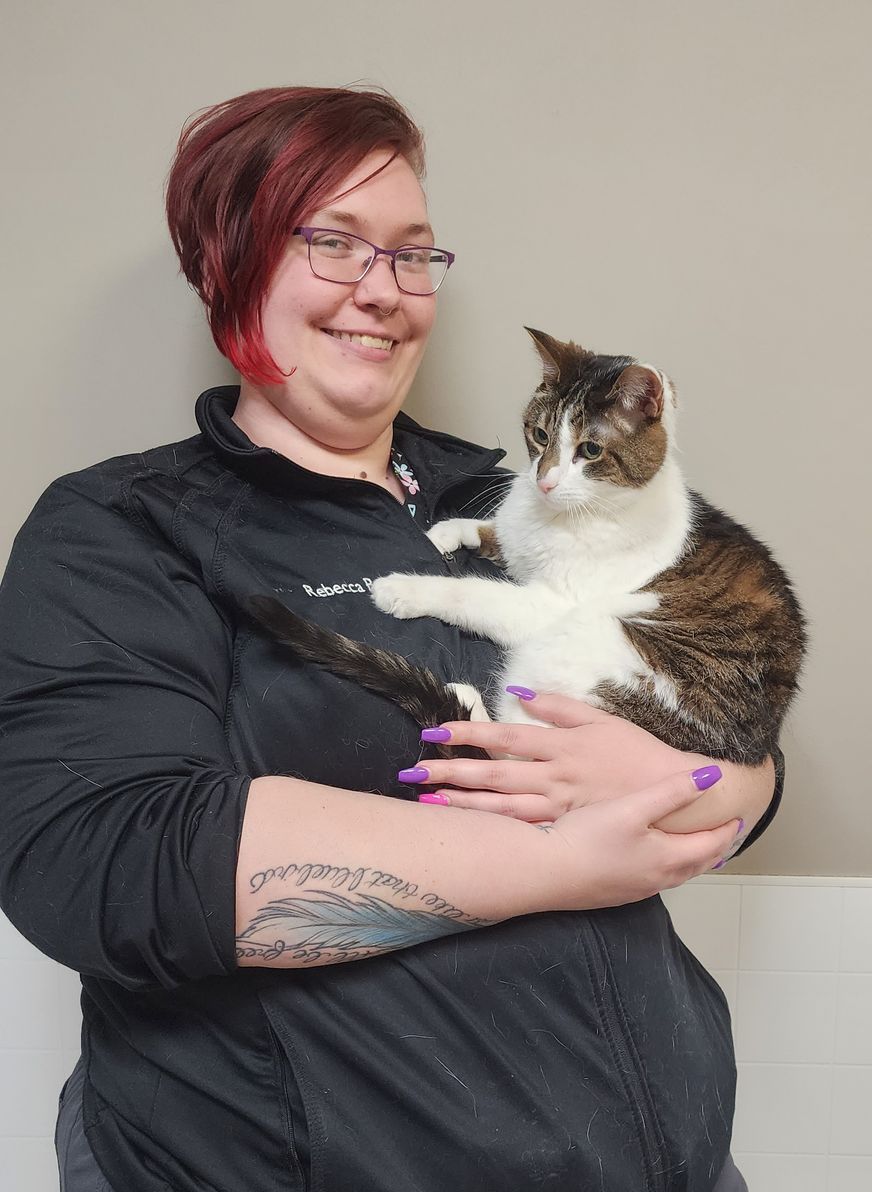 Our Staff Pet Hospital Lancaster & Cheektowaga, NY Transit Animal