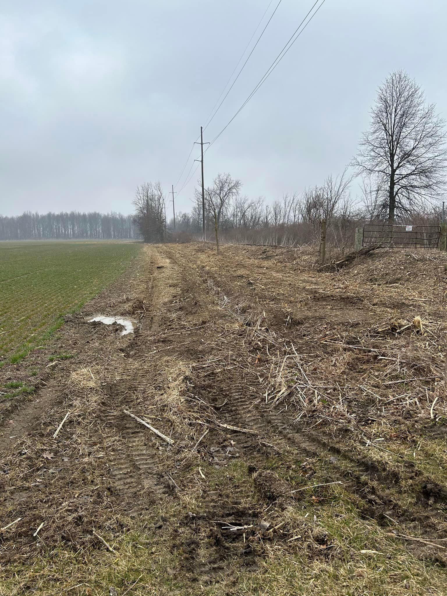 Grassy field with dirt path, power lines, and trees on a cloudy day.