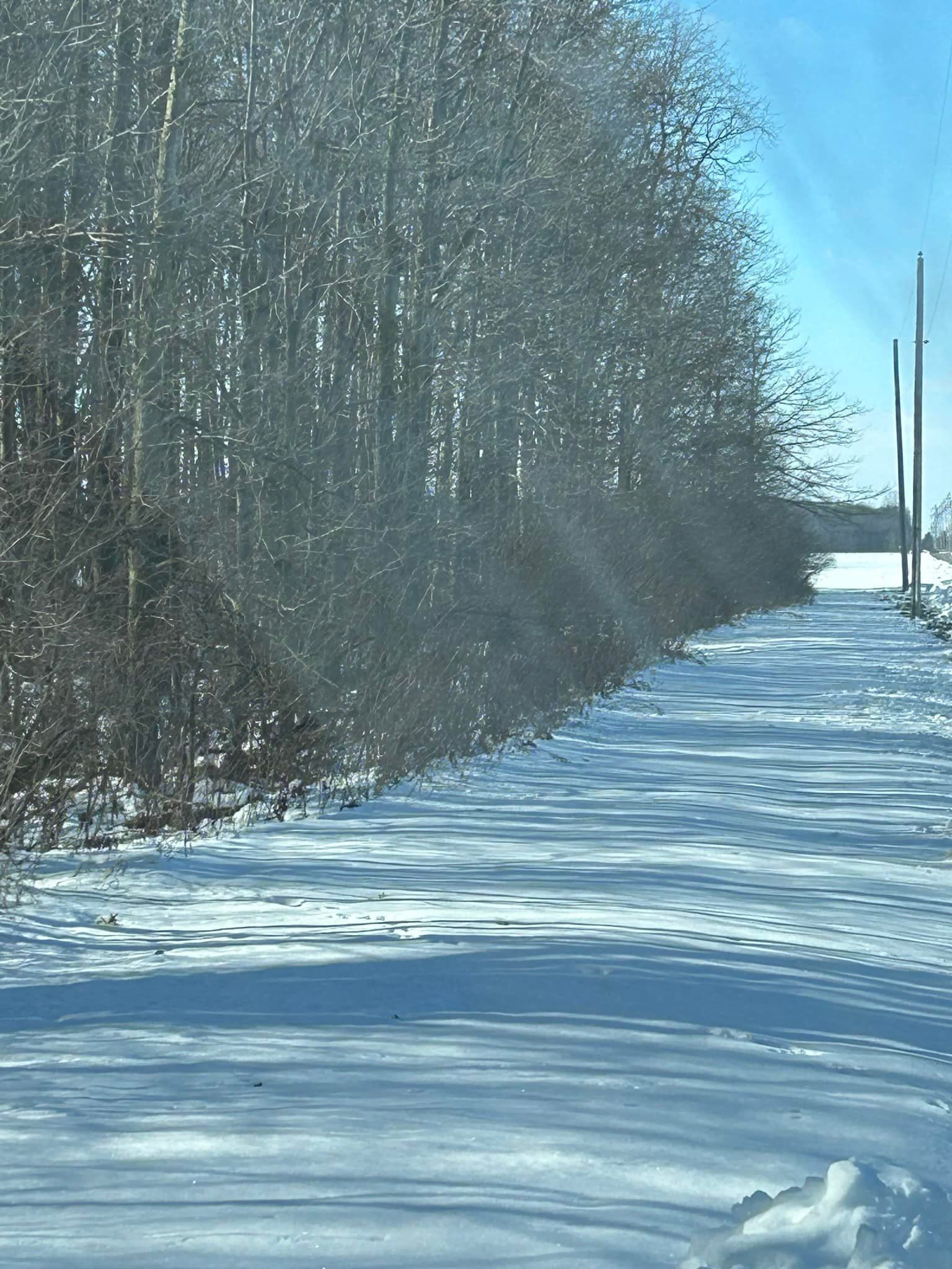 Snow-covered road lined by trees under a bright blue sky. Sunlight illuminates the scene.