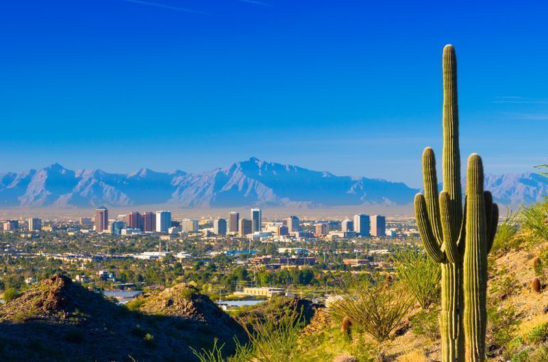 A cactus is standing in front of a city skyline with mountains in the background. A cactus is standing in front of a city skyline with mountains in the background.
