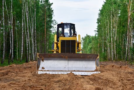 Yellow bulldozer clearing a path through a forest of tall, green trees.