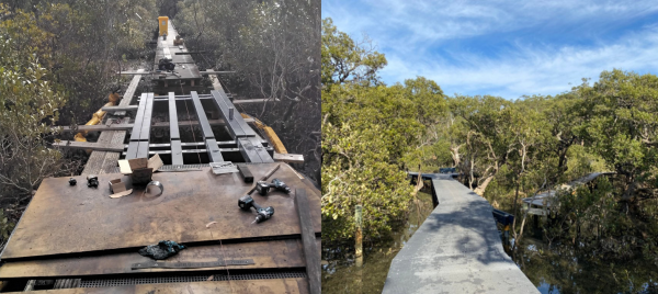 Aluminium working platforms over the mangrove shoots and where the old boardwalk meets the new boardwalk