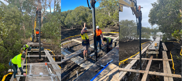 Working on platforms suspended above the mangrove shoots and drilling piling holes for the boardwalk