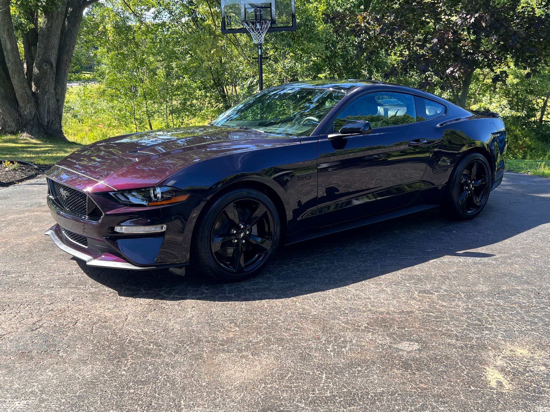 Exterior sports car cleaning