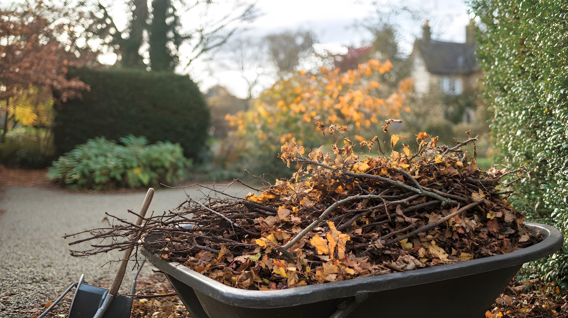 Wheelbarrow filled with autumn leaves and branches in a garden setting, with a house in the background.