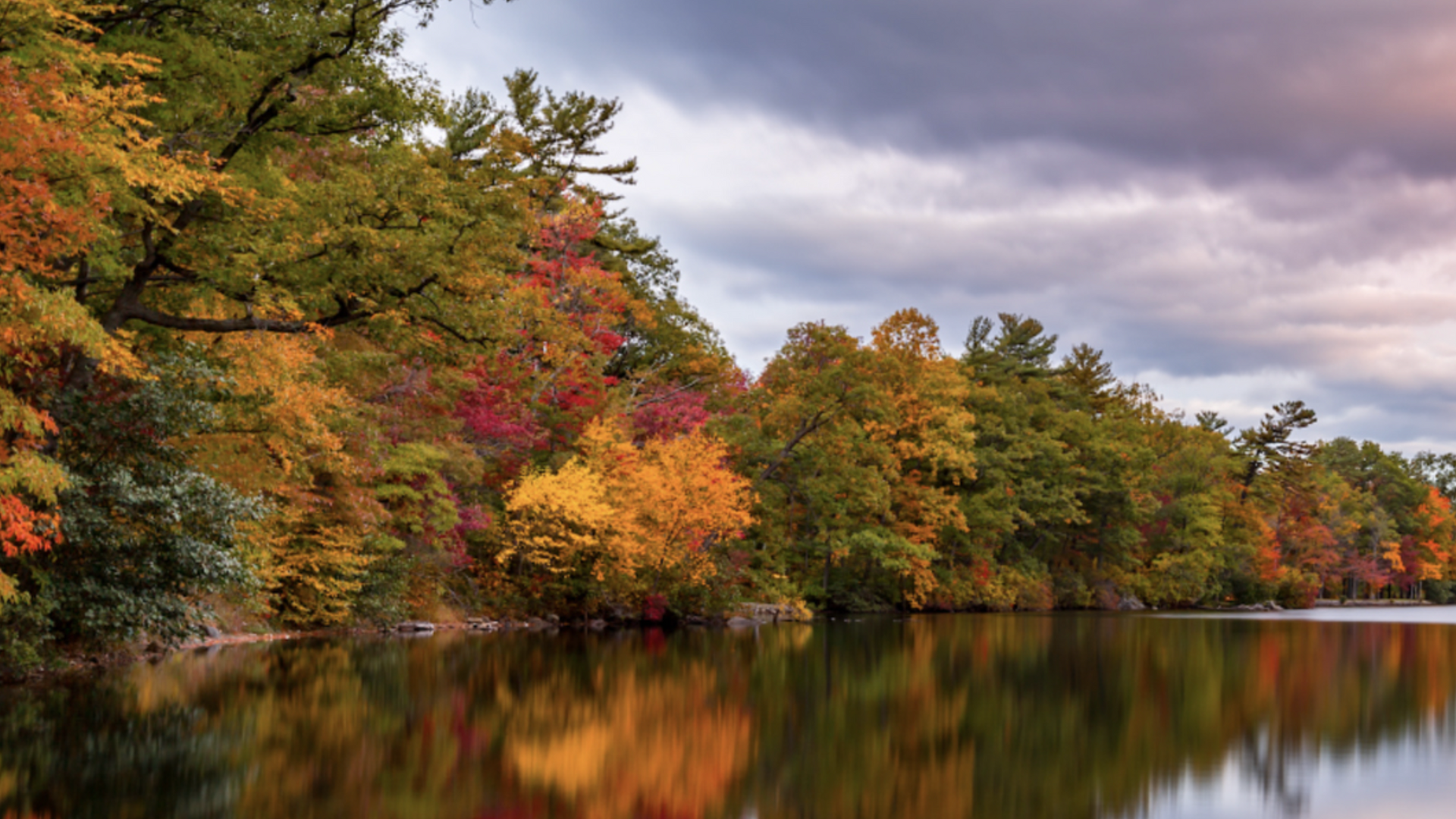 A lake surrounded by trees with autumn leaves on them