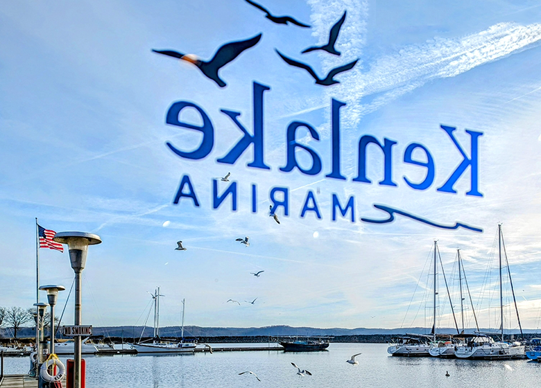 Birds are flying over a body of water with a sign that says ' eagles ' on it