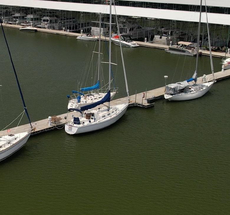 A group of sailboats are docked at a marina