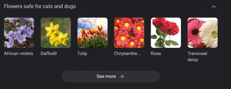 Flowers safe for cats and dogs: African violet, Daffodil, Tulip, Chrysanthemum, Rose, Transvaal daisy.