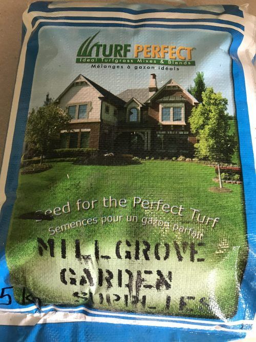 Turf Perfect Seed: Millgrove Blend