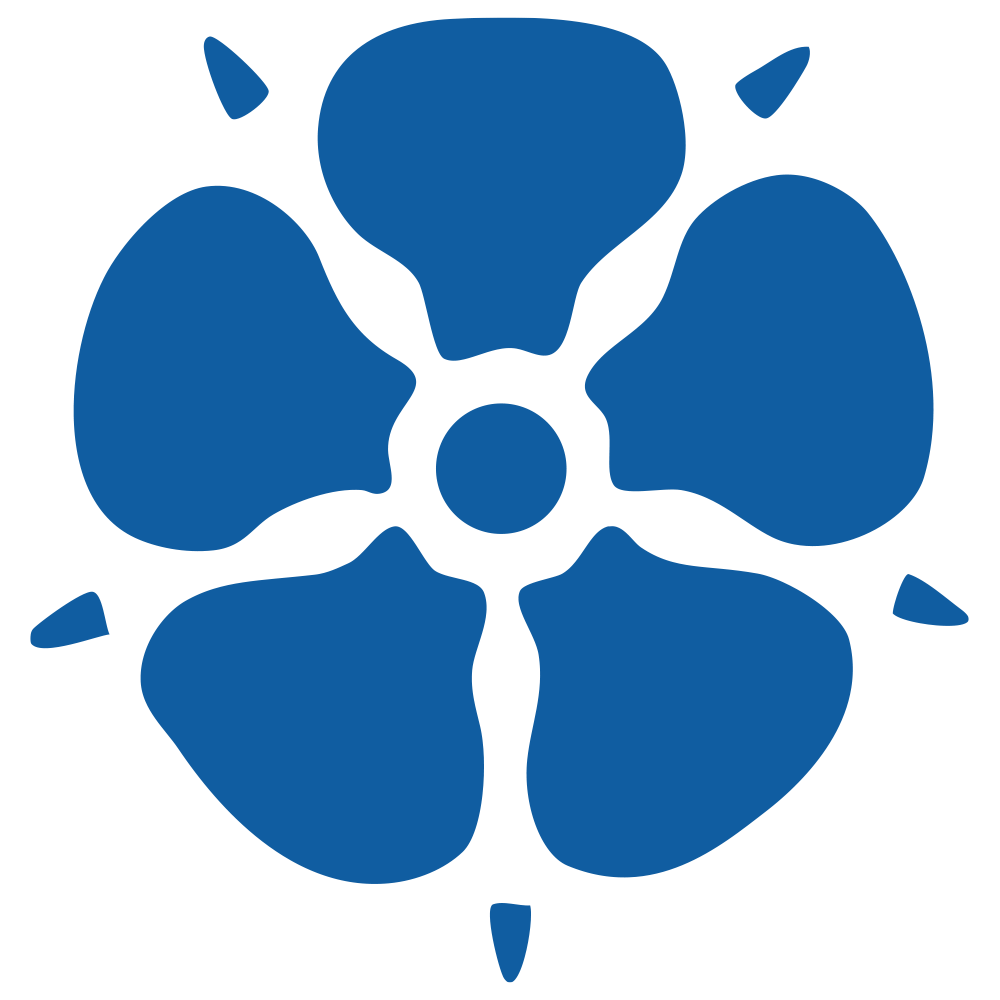A blue flower with a white center and petals on a white background.