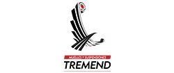 Logo de TREMEND Muelles y Suspensiones