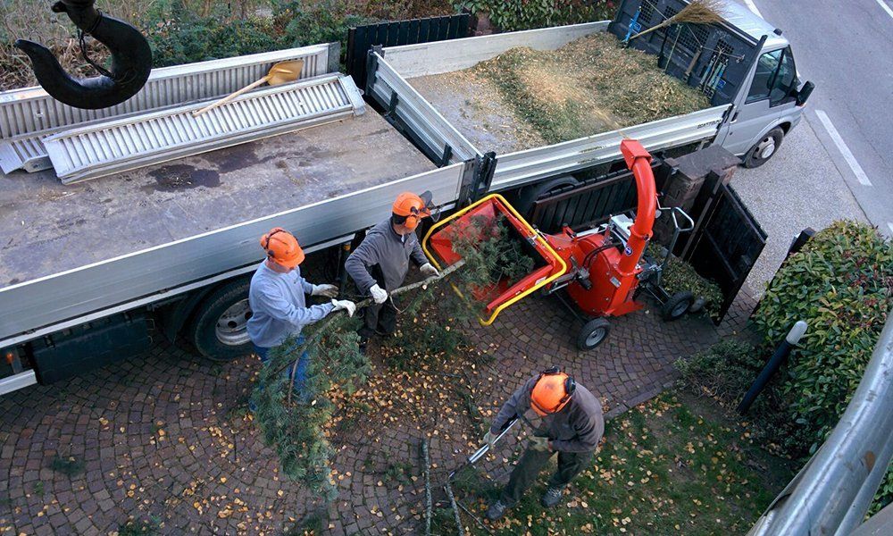 Due camion e dei giardinieri al lavoro con degli alimenti arancioni e delle cuffie
