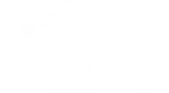 cartouche blanc 3