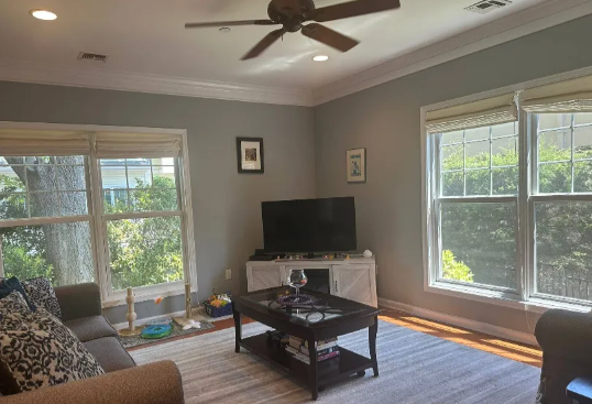 Living room with windows, sofa, TV, coffee table, rug, and ceiling fan. Green trees visible outside.