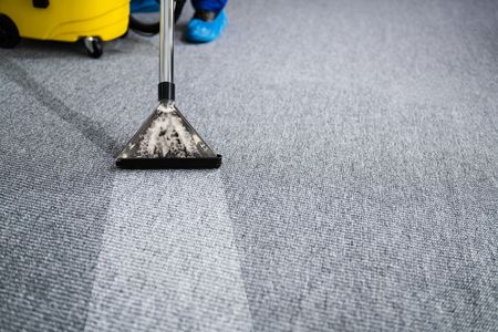 Carpet being cleaned with a machine, leaving a clean white strip.