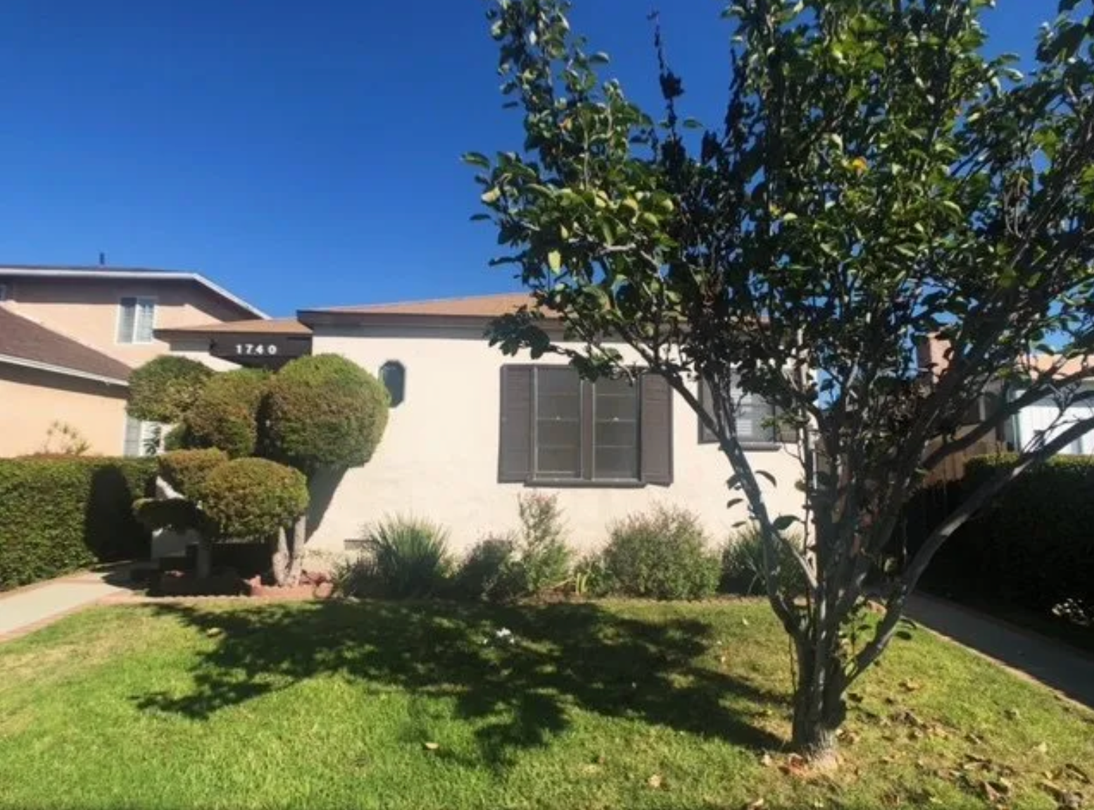 A house with a tree in front of it