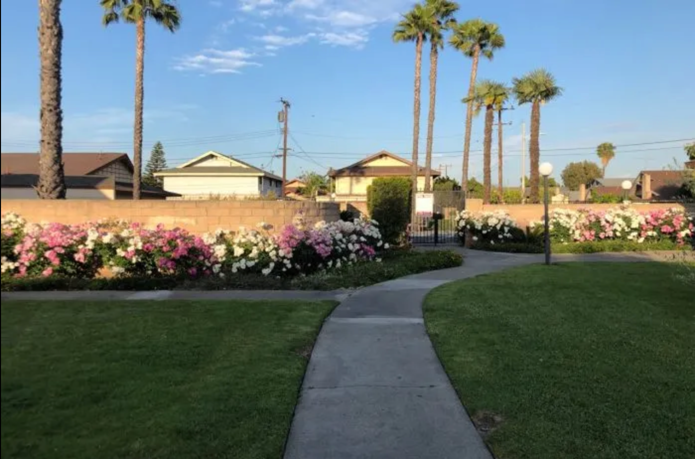 A walkway leading to a house with palm trees in the background