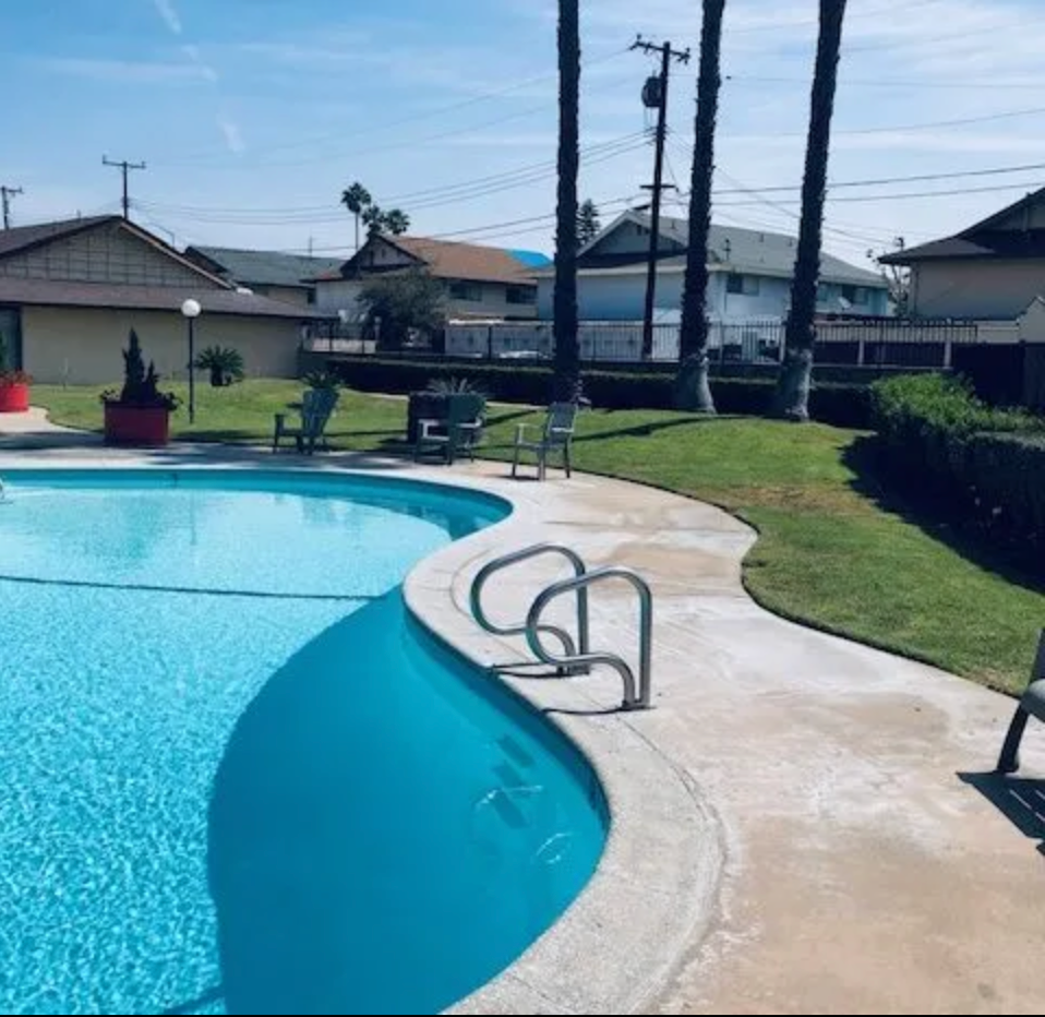 A large swimming pool surrounded by chairs and palm trees