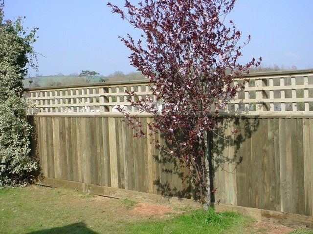 Palisade gates - Devon - W J Wicks & Sons Ltd - domestic fencing 8