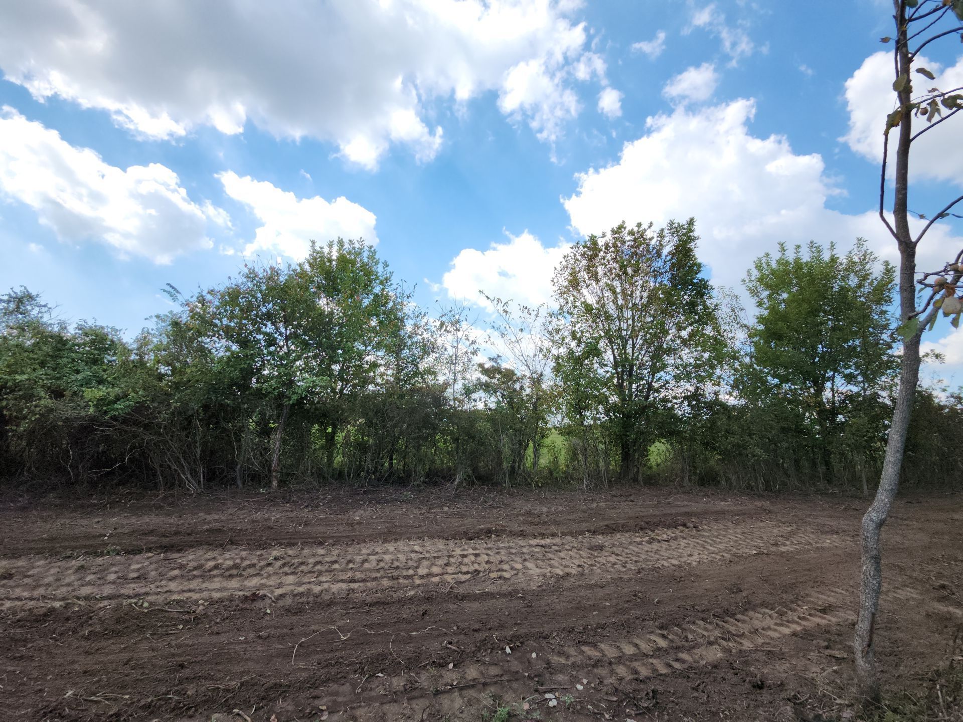 Dirt field with tire tracks and treeline under a partly cloudy sky.