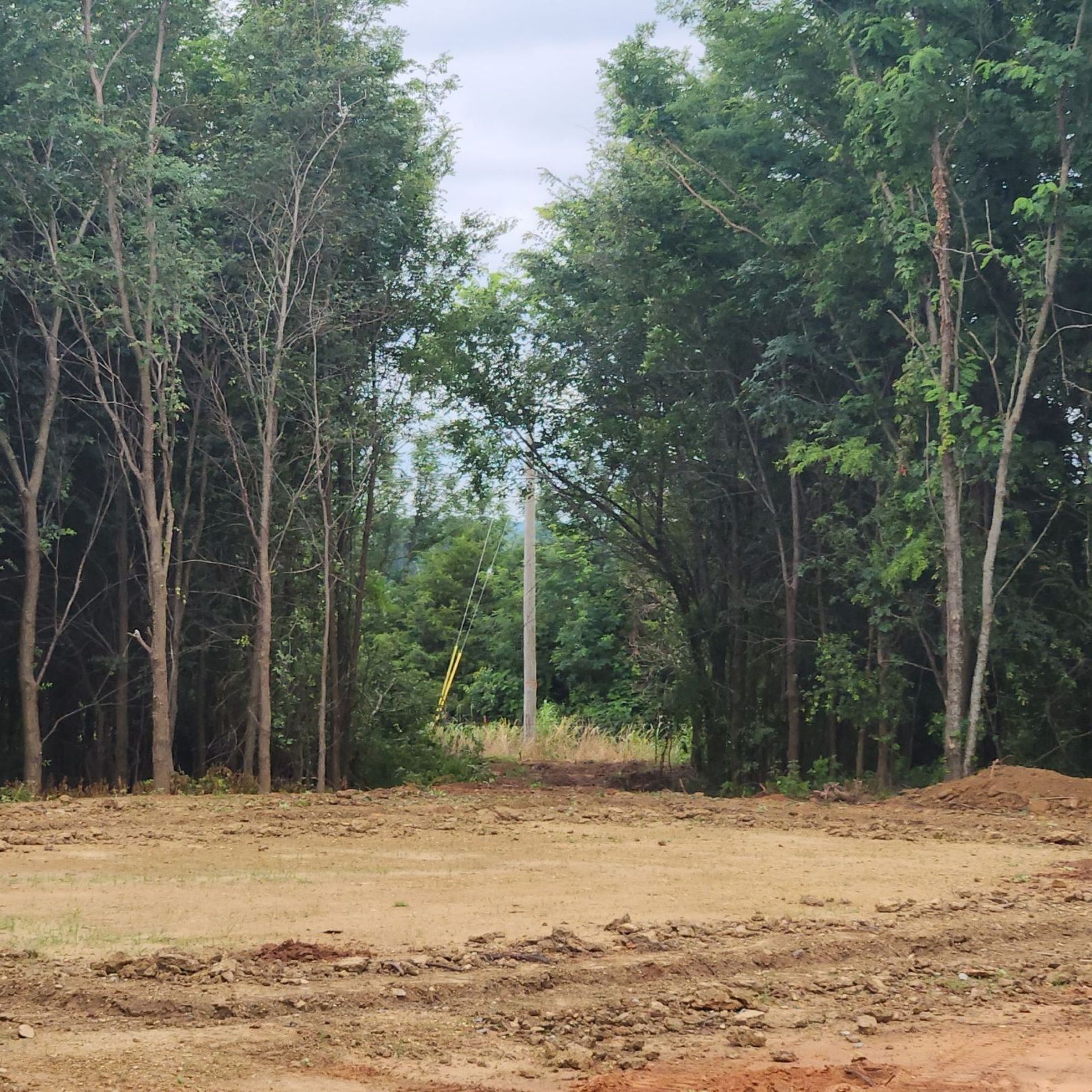 Dirt clearing surrounded by tall trees, leading to a visible power pole and distant green.