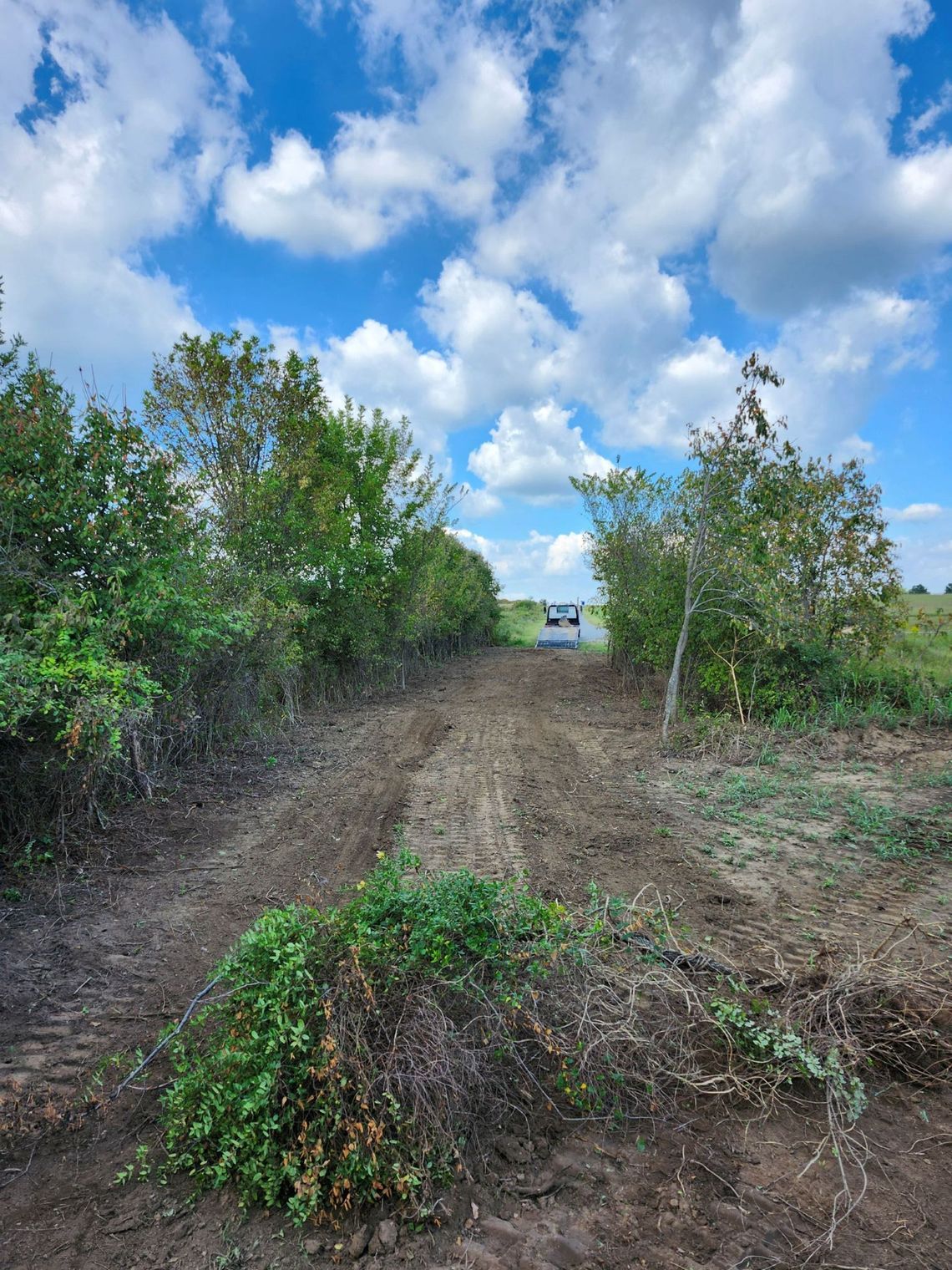 Dirt path through green foliage leading to a vehicle on a field under a cloudy sky.