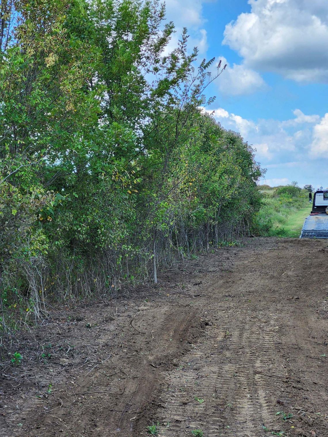 Dirt path next to trees, with a blue sky and tractor in the background.