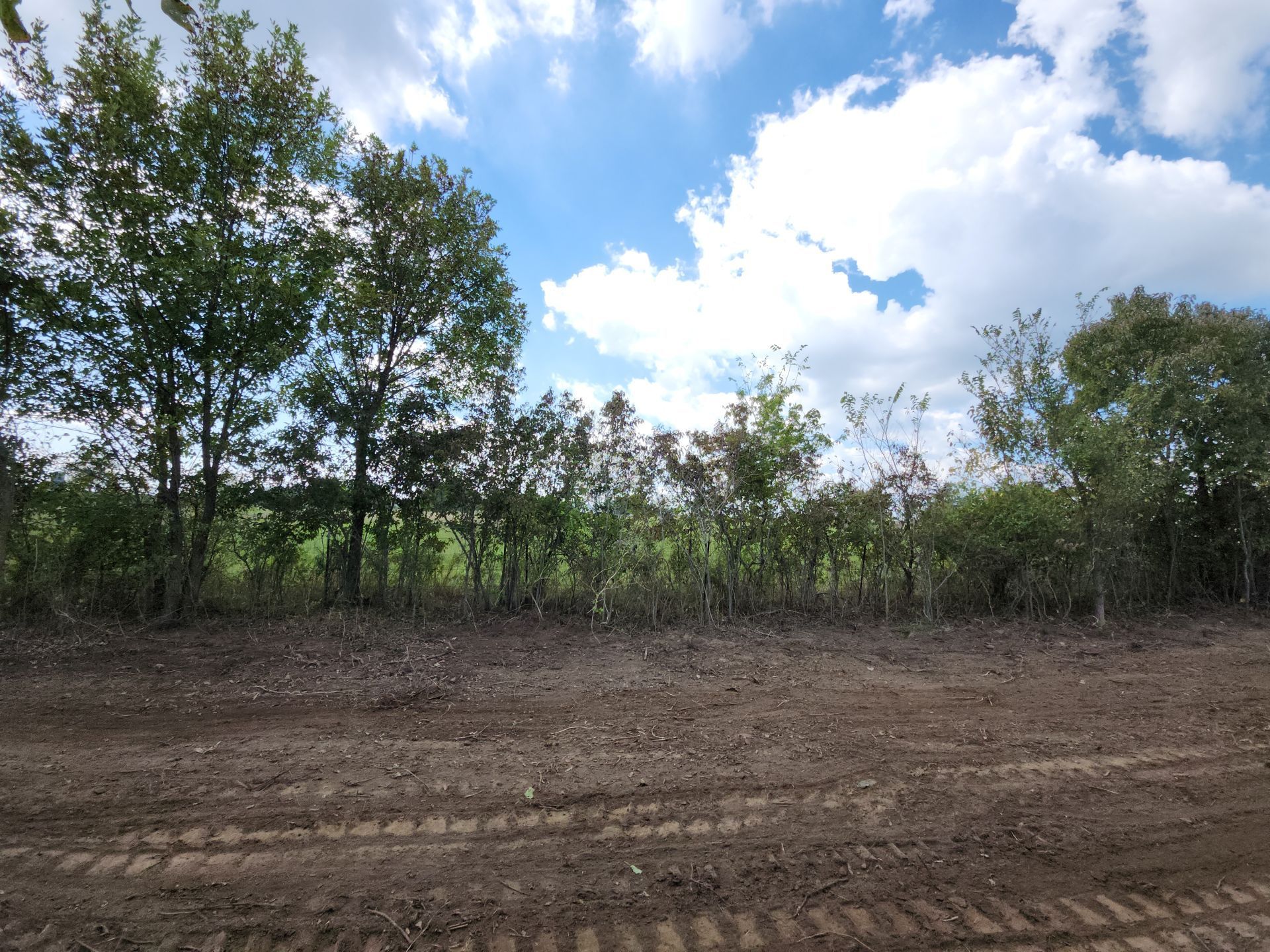 Brown dirt ground with tire tracks in front of a line of trees under a cloudy blue sky.