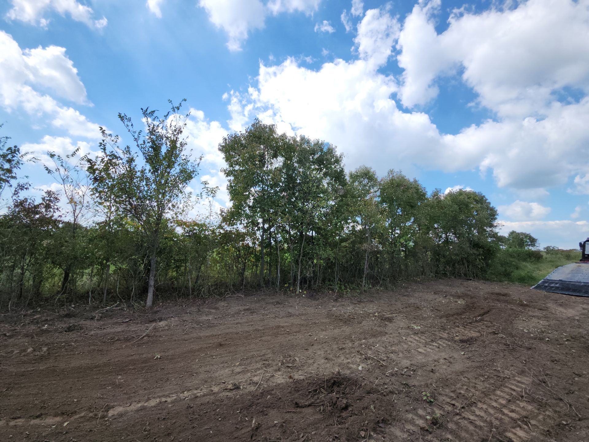 Dirt landscape with line of trees under blue sky with clouds.