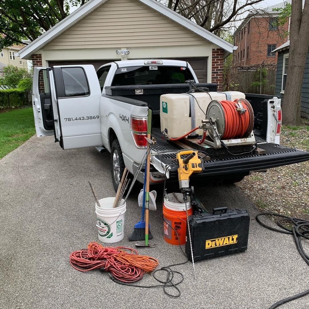 termite pest control experts in Boston